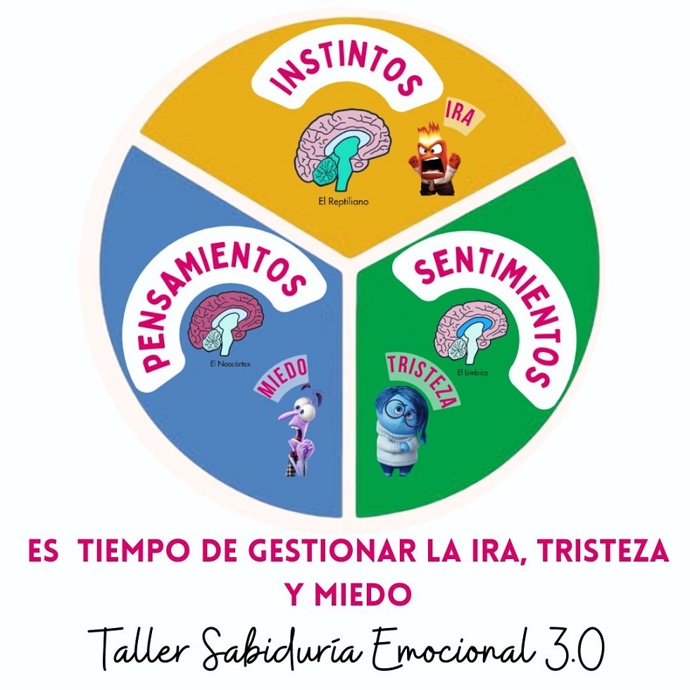 Taller Sabiduria Emocional